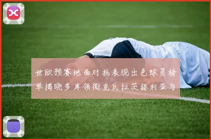 世欧预赛地面对抗表现出色球员榜单揭晓多库领衔克瓦拉茨赫利亚与布拉德利紧随其后