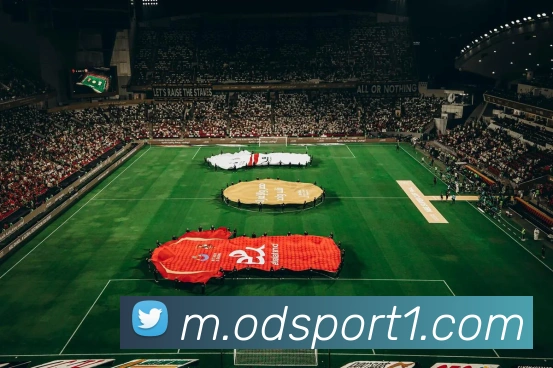 OD体育APP 封面图